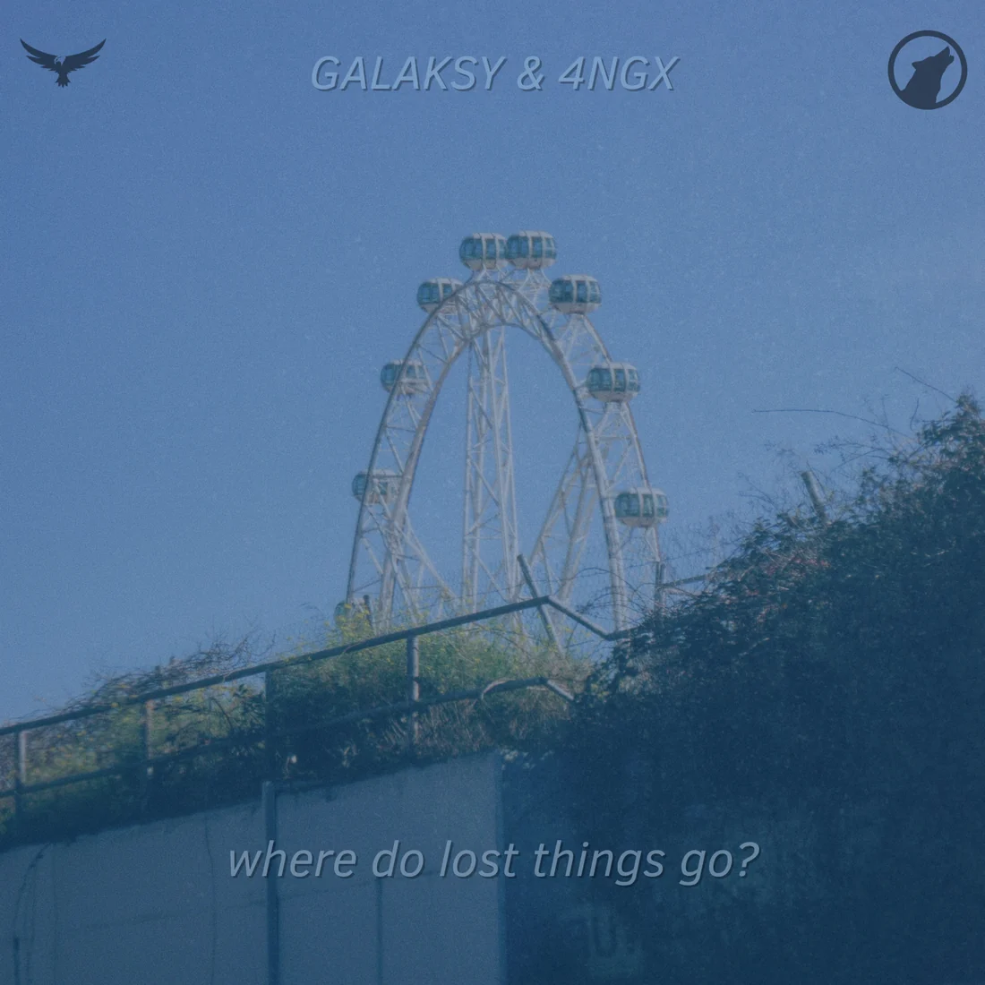 where do lost things go?